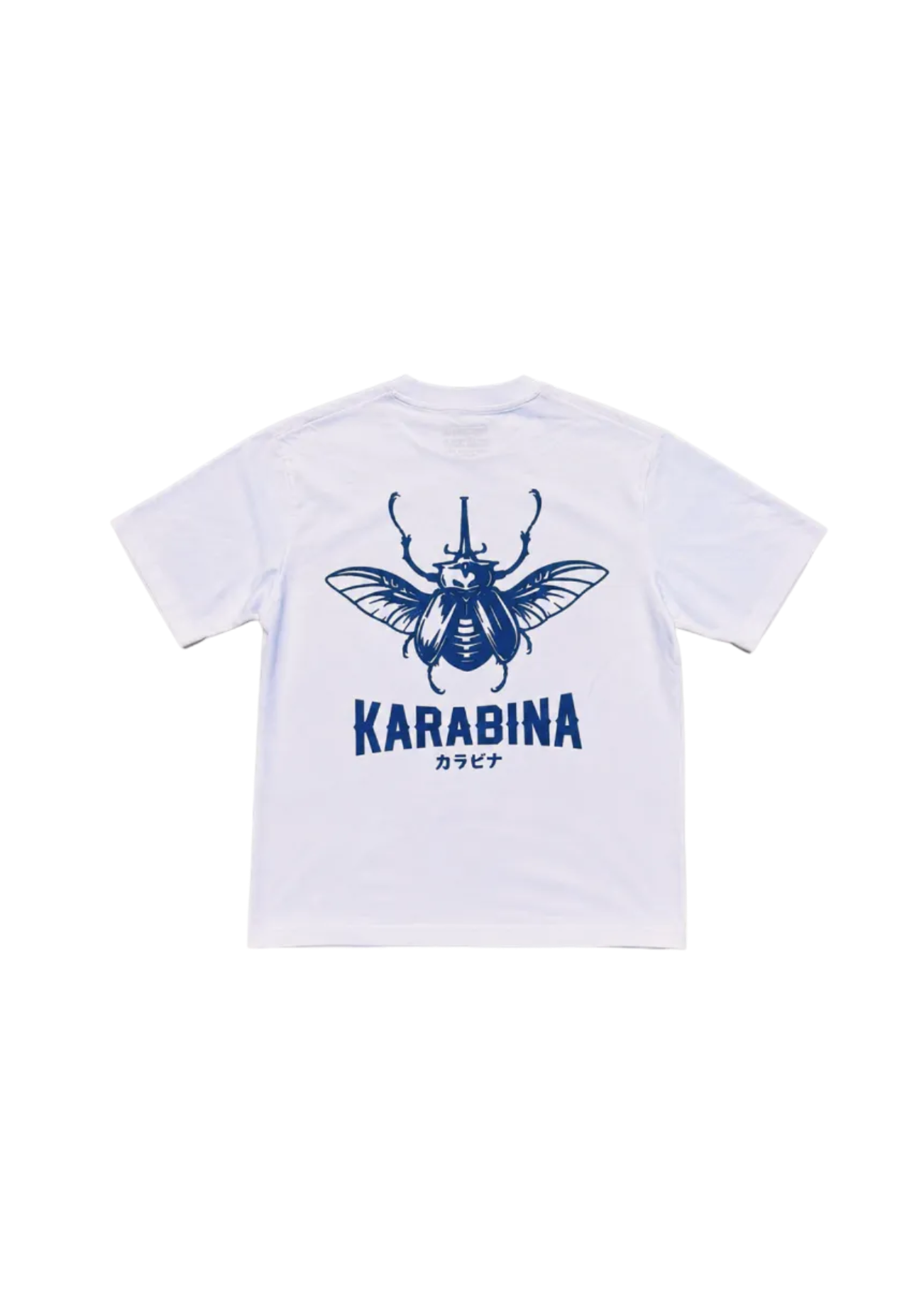 T-shirt DYNAST — Glacier