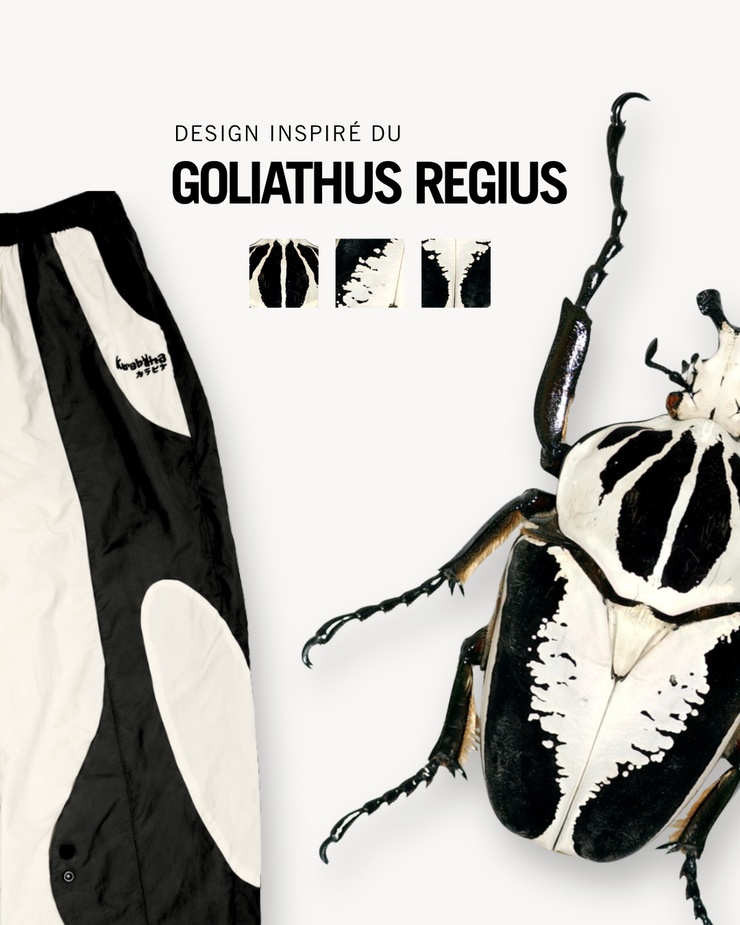 GOLIATHUS 01 - ORIGINAL