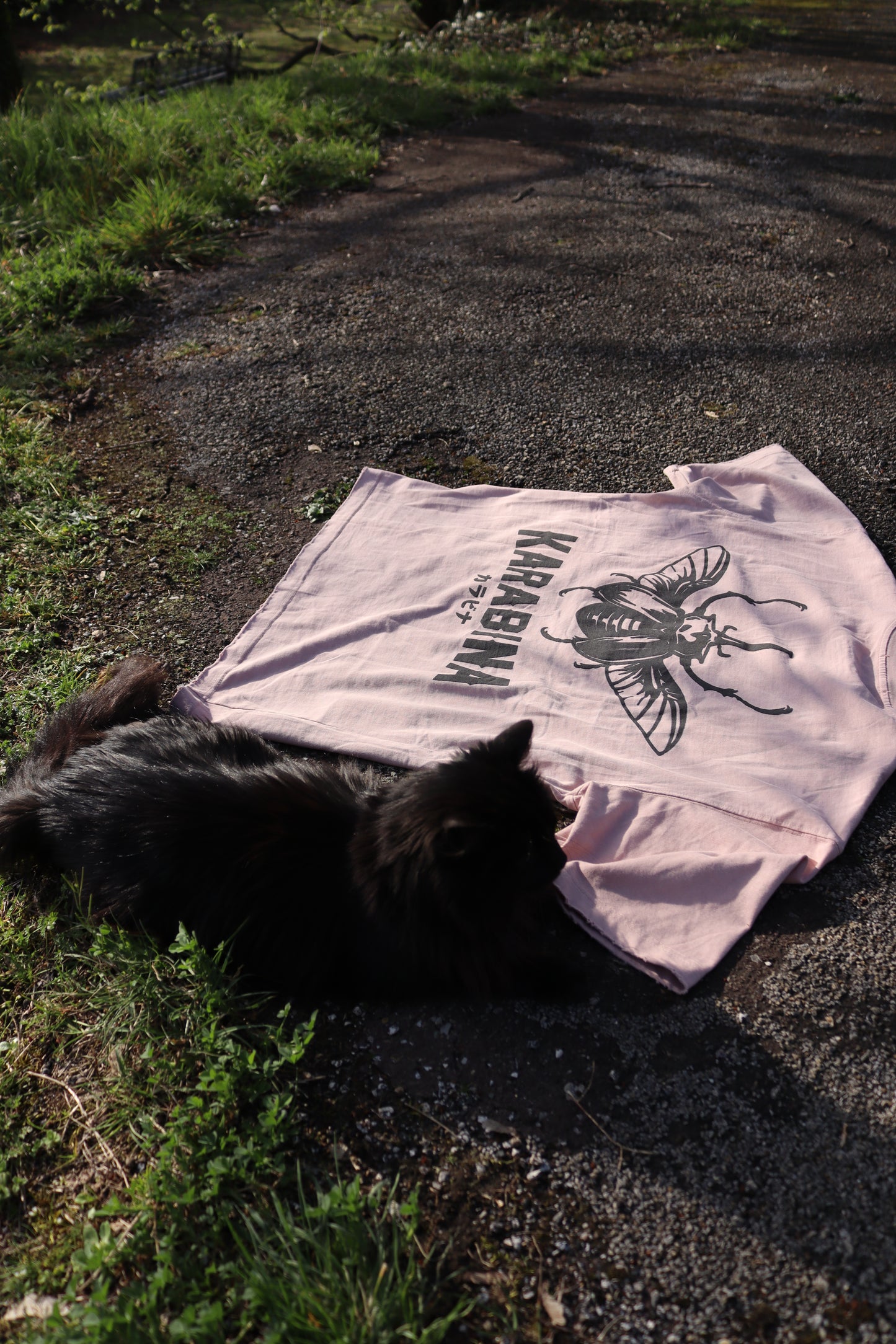 T-shirt DYNAST — Dust Rose (écorché)