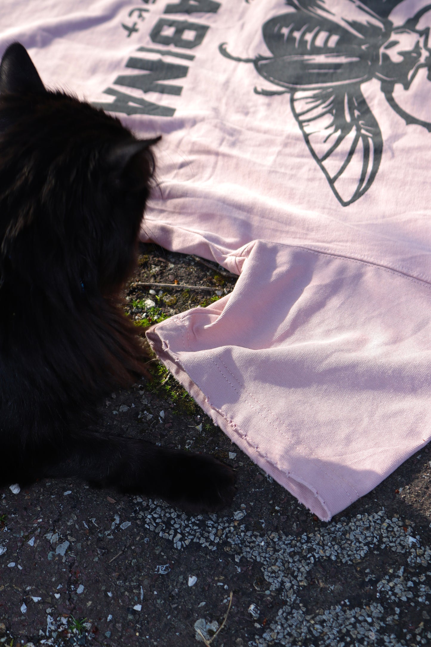 T-shirt DYNAST — Dust Rose (écorché)